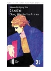 Genç Wertherin Acıları