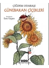 Günebakan Çiçekleri