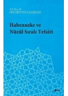 Habenneke ve Nüzul Sıralı Tefsiri