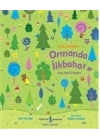 Hadi Gezelim Ormanda İlkbahar Ara-Bul Kitabı