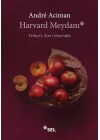 Harvard Meydanı