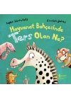 Hayvanat Bahçesinde Ters Olan Ne?