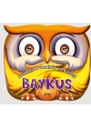Hayvanlar Aleminin En Bilgesi : Baykuş