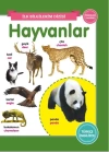 Hayvanlar - İlk Bilgilerim Dizisi