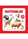 Hayvanlar Türkçe-İngilizce