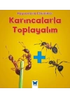 Hayvanlarla Etkinlikler - Karıncalarla Toplayalım