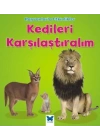 Hayvanlarla Etkinlikler - Kedileri Karşılaştıralım