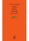 Hızla Akan Mızrak - Bütün Şiirleri