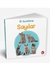 İlk Sözcüklerim - Sayılar