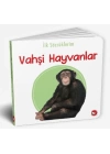 İlk Sözcüklerim - Vahşi Hayvanlar