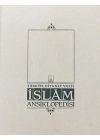 İslam Ansiklopedisi Cilt: 17