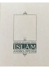 İslam Ansiklopedisi Cilt: 3