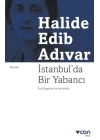 İstanbulda Bir Yabancı