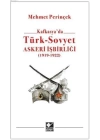 Kafkasyada Türk - Sovyet Askeri İşbirliği