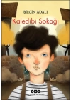 Kaledibi Sokağı