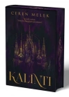 Kalıntı (Ciltli)