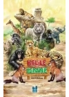 Kelile ve Dimne
