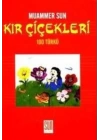 Kır Çiçekleri