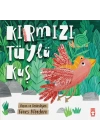 Kırmızı Tüylü Kuş