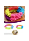 Köpek Isırma Diş Kaşıma Çemberi