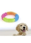 Köpek Isırma Diş Kaşıma Çemberi