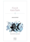 Küçük Kara Balık