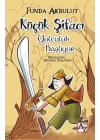 Küçük Şifacı - Yolculuk Başlıyor