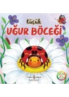 Küçük Uğur Böceği