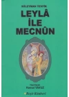 Leyla ile Mecnun