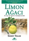 Limon Ağacı