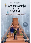 Matematik Köyü - Bu Sayıların Nesi Var?