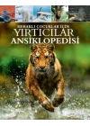 Meraklı Çocuklar İçin Yırtıcılar Ansiklopedisi