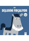 Merhaba Küçük Deha - Tay Dişlerini Fırçalıyor