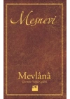 Mesnevi