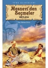 Mesneviden Seçmeler