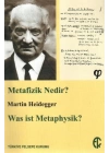 Metafizik Nedir?  Was ist Metaphysik?