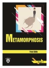 Metamorphosis Stage 4