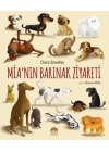 Mia’nın Barınak Ziyareti