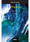 Migren
