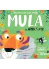 Mula Ve Minik Sinek