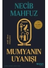 Mumyanın Uyanışı