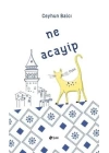 Ne Acayip