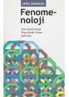 Nitel Desenler: Fenomenoloji