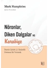 Nöronlar, Diken Dalgalar ve Kurabiye