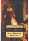 Notre Dame’ın Kamburu