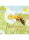Oluşum Hikayeleri - Bal nasıl oluşur?