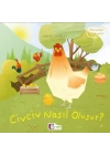 Oluşum Hikayeleri - Civciv nasıl oluşur?