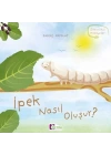 Oluşum Hikayeleri - İpek nasıl oluşur?