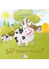 Oluşum Hikayeleri - Süt nasıl oluşur?