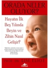 Orada Neler Oluyor